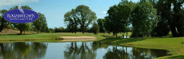 Roganstown 2006